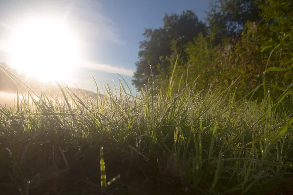 Sonnenaufgang im Nebel auf dem See scheint Tau — Stockfoto