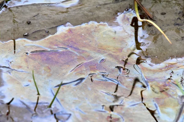 水質汚染 ロイヤリティフリーのストック画像