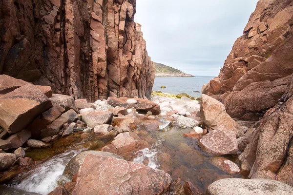 Floden rinner ut i Barents hav — Stockfoto