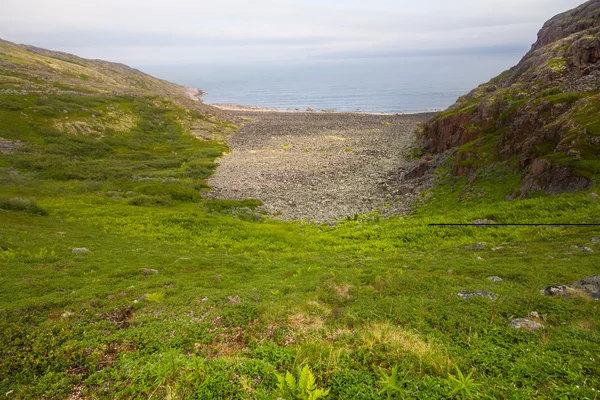 Costa de Barents mar com baía — Fotografia de Stock