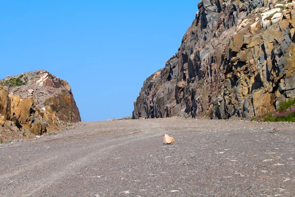 山岩中的道路建设 — 图库照片