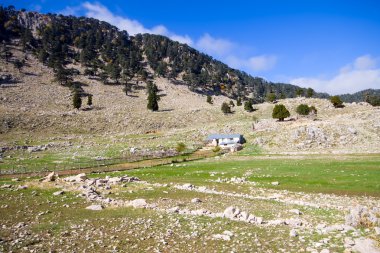 Rahatlatıcı dağ yazı harika manzara