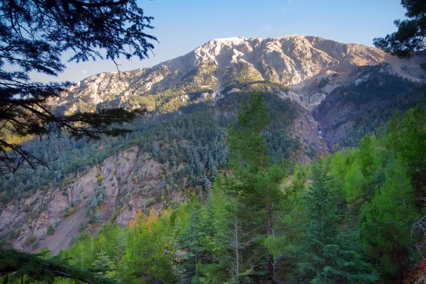 Calmante montaña verano maravilloso vista — Foto de Stock