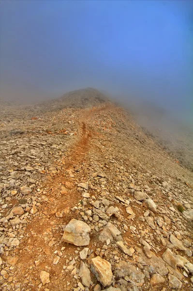 Muy hermoso sendero de montaña en la niebla —  Fotos de Stock