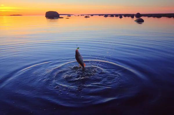 Puesta de sol río percha pesca con una caña —  Fotos de Stock