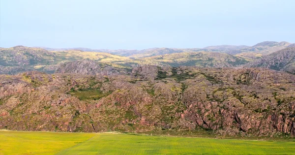 Colinas polares tundra escandinava en verano — Foto de Stock