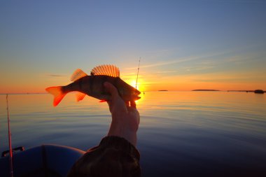 Sunset river perch fishing with the boat and a rod clipart