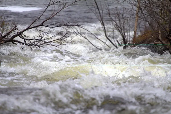 Taiga vloeiende lente rivier — Stockfoto