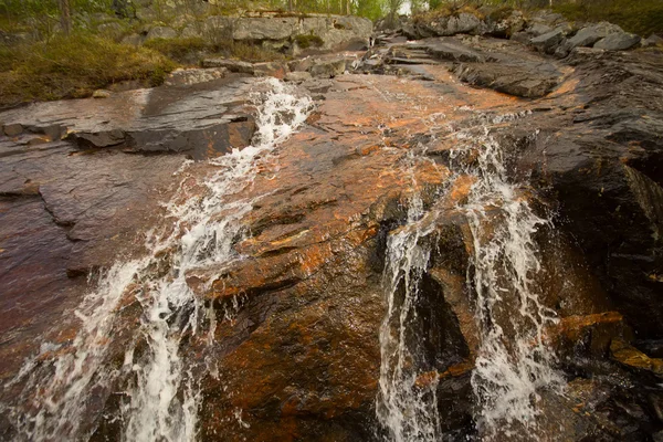 Taïga coulant rivière de source — Photo