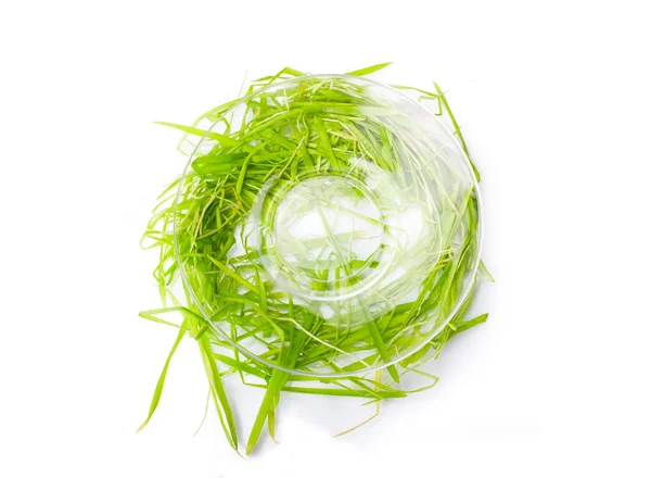 Saucer and green grass isolated — Stock Photo, Image