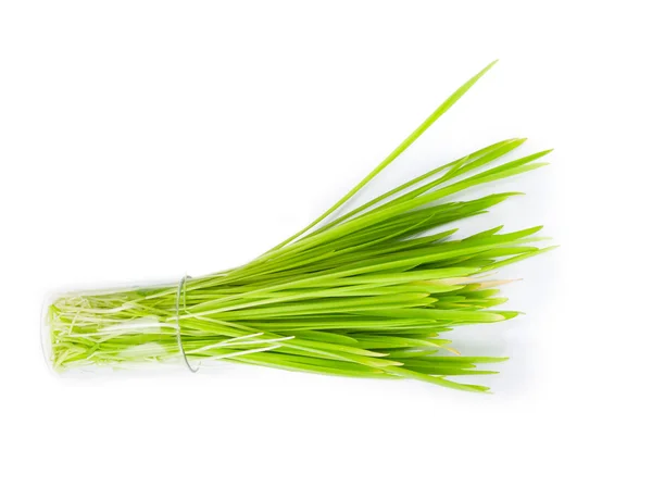 Filling bright green grass isolated — Stock Photo, Image