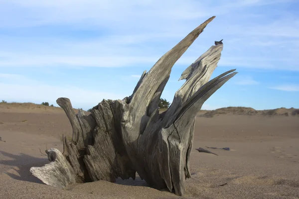 Sand im Getriebe — Stockfoto