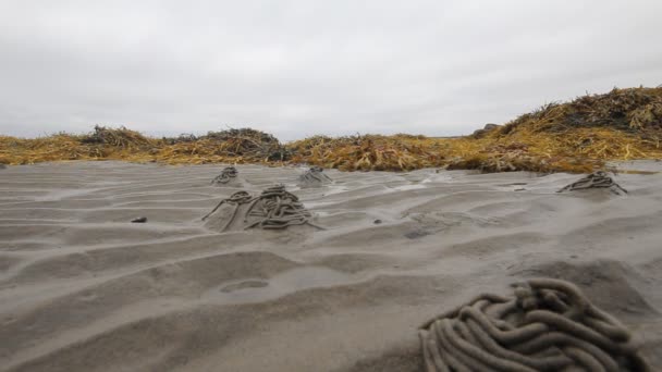 Mengesankan cepat timbunan pasang tinggi di laut Utara — Stok Video