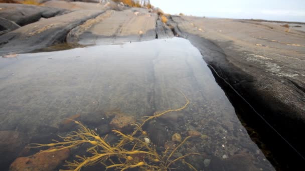 Baño rocoso en el mar después de la marea baja — Vídeo de stock