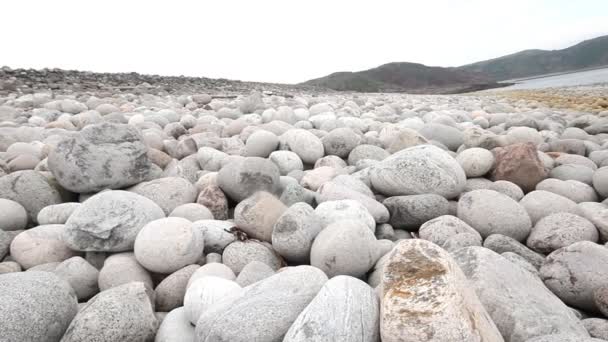 Rochers plage sur le rivage de la mer de Barents — Video