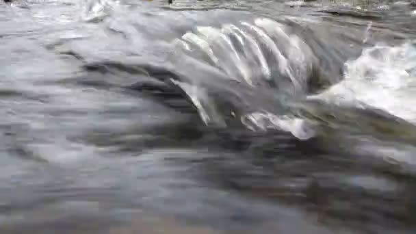 Rápido agua de manantial alegre — Vídeos de Stock