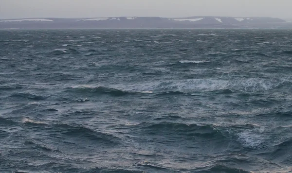 Карское море вблизи острова Новая Земля — стоковое фото