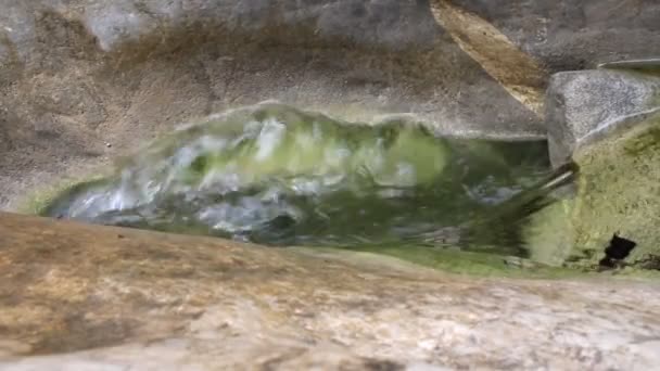 Lente in Bergen bron van schoon water — Stockvideo