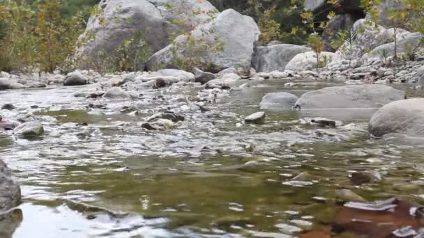Rapides sur la rivière 