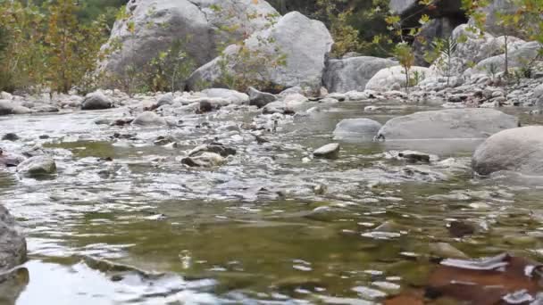 Stromschnellen auf dem Fluss — Stockvideo