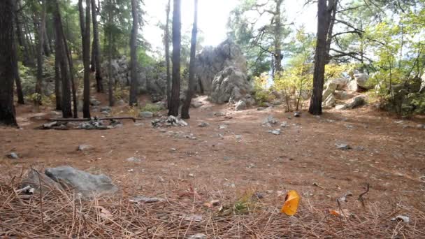 Toeristische kamp in een bergbos — Stockvideo