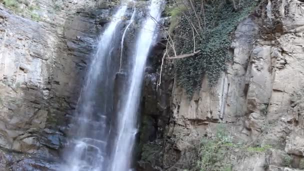 Bella cascata con parete ricoperta di edera — Video Stock