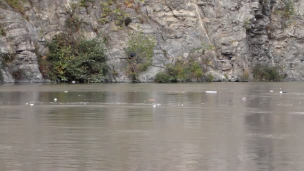 Kirliliği plastik çöp Nehri — Stok video