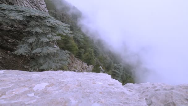 Niebla en las montañas — Vídeos de Stock