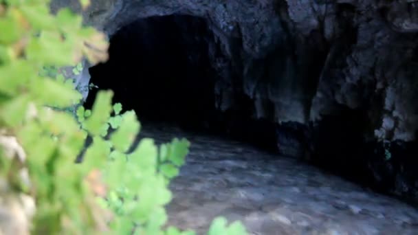 De rivier stroomt van underground — Stockvideo