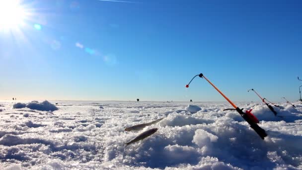 Ice fishing episode with fishing rod — Stock Video