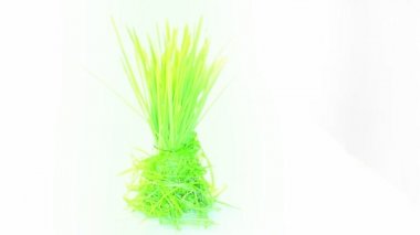 şekil yeşil çim izole