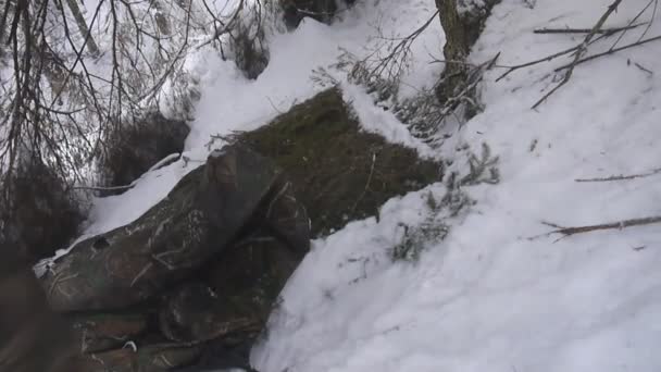 Acampamento dobrável e barraca na floresta de inverno — Vídeo de Stock