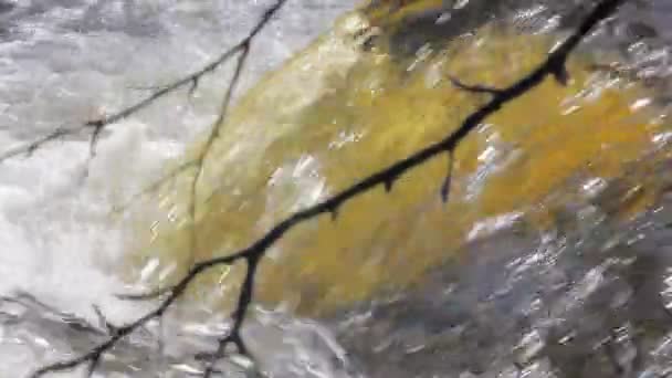 Schöner glänzender Wasserfluss 1 — Stockvideo