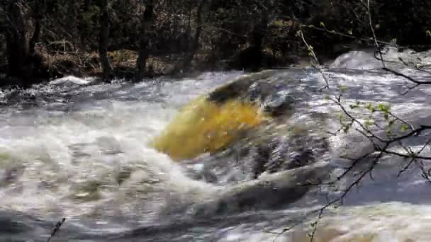 Bello flusso d'acqua lucente 3 — Video Stock