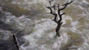 Sinir Nehri 1