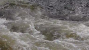 Rive 6 hızlı akış