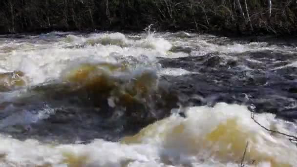 De snelle stroom van de rivier 1 — Stockvideo