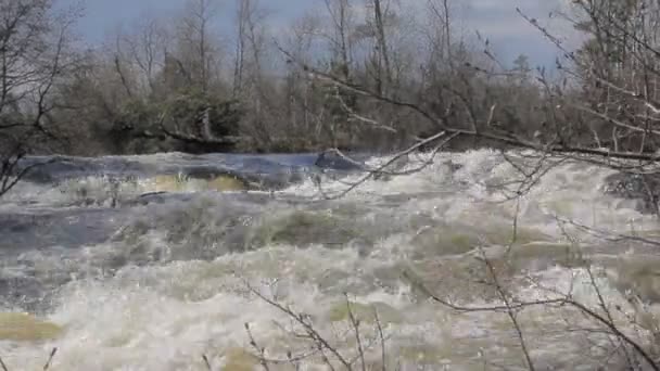 The rapid flow of the river 4 — Stock Video