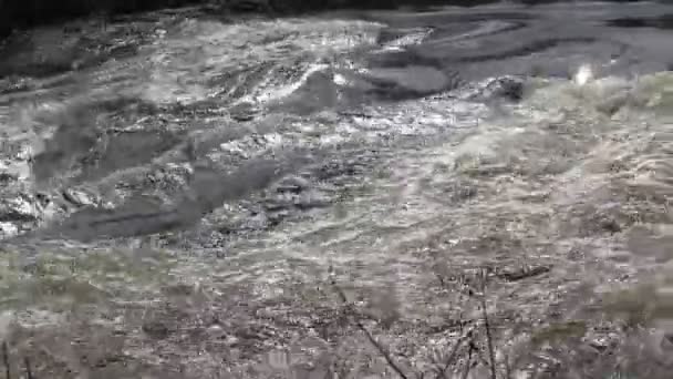 Der schnelle Fluss der Rive 7 — Stockvideo