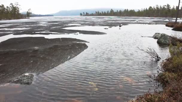 Весна на озере Тайга 2 — стоковое видео
