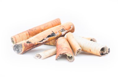 huş ağacı kabuğu