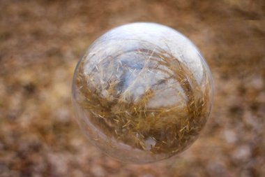 küresel kavram erken bahar manzarası