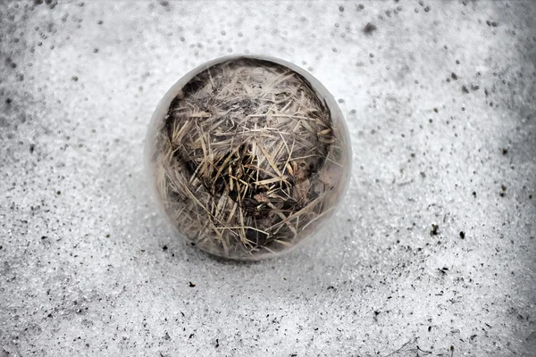 季節や気候の概念球 — ストック写真
