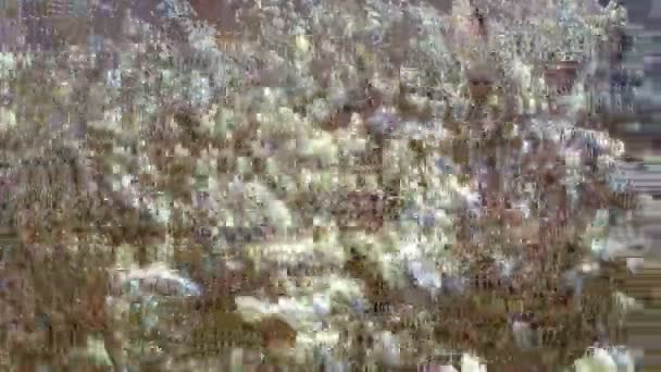 mer de fleurs balancement de saule dans le vent 