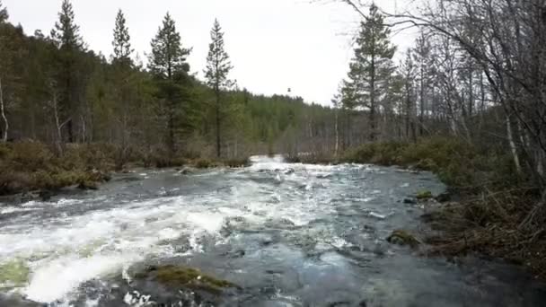 Snelle taiga rivier op de grens van Noorwegen en Rusland — Stockvideo