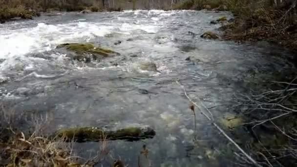 Rivière de la taïga rapide à la frontière de la Norvège et de la Russie 