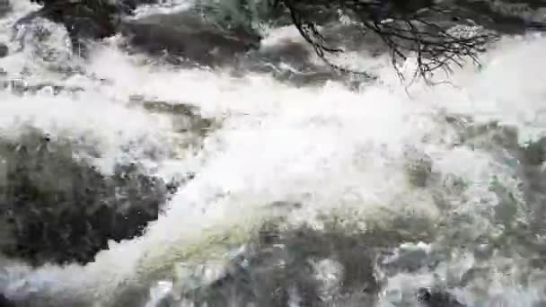 Gros plan des eaux rapides de la rivière forte — Video