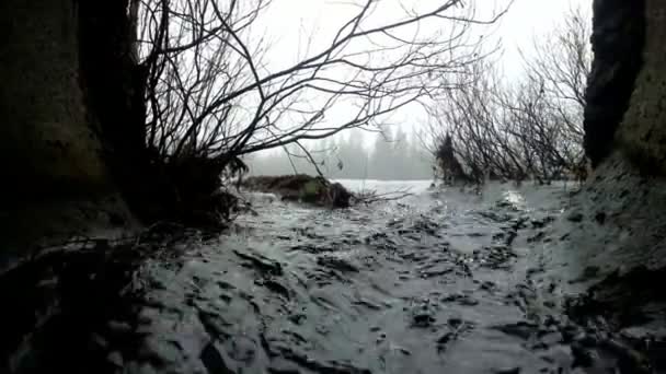 Tubería de drenaje debajo de la carretera — Vídeo de stock