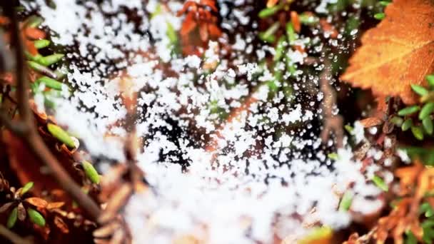 Schnee im Netz Rückkehr des Winters — Stockvideo