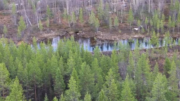 Valle del río taiga — Vídeo de stock